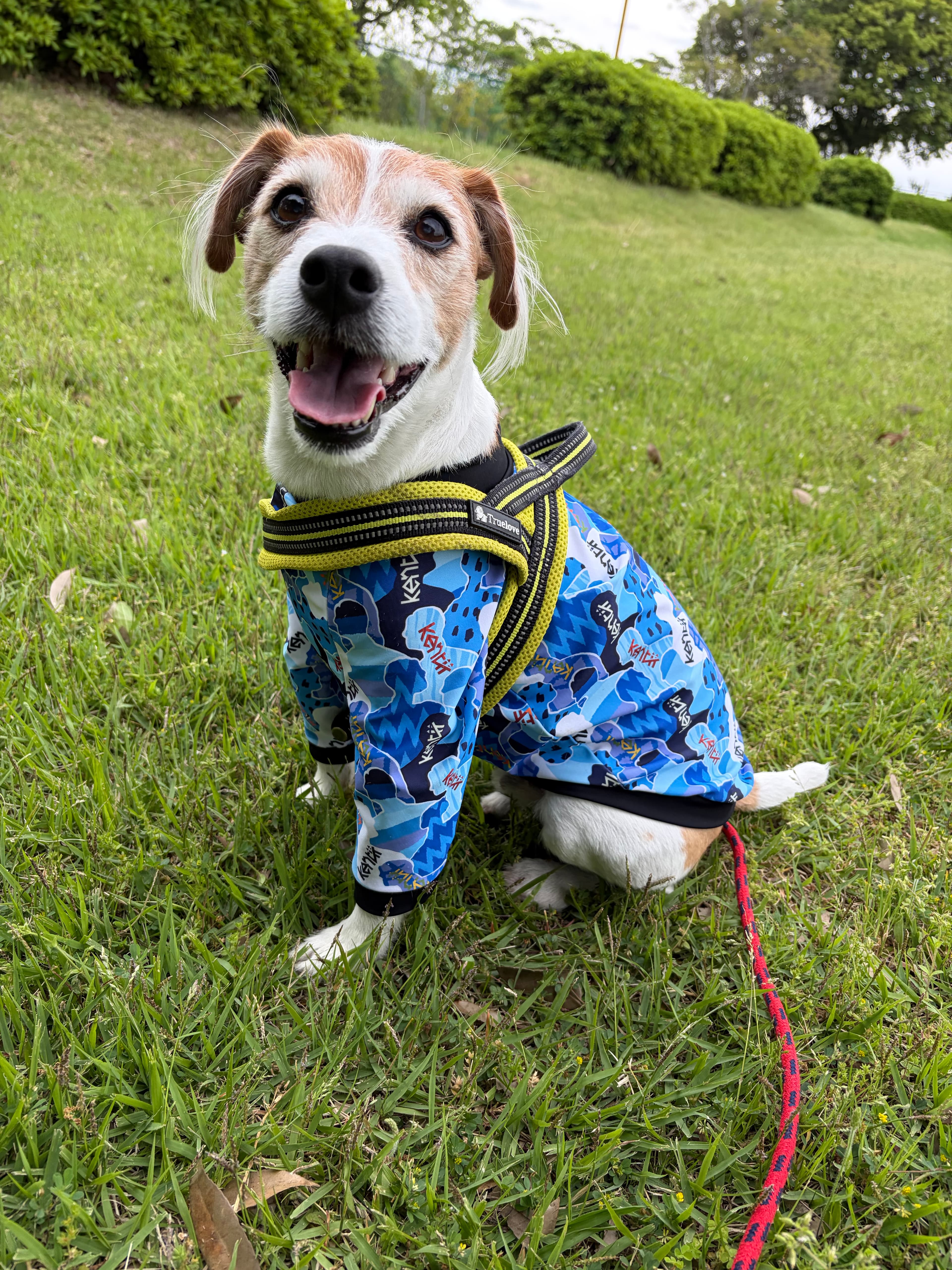 公園のむぎー!