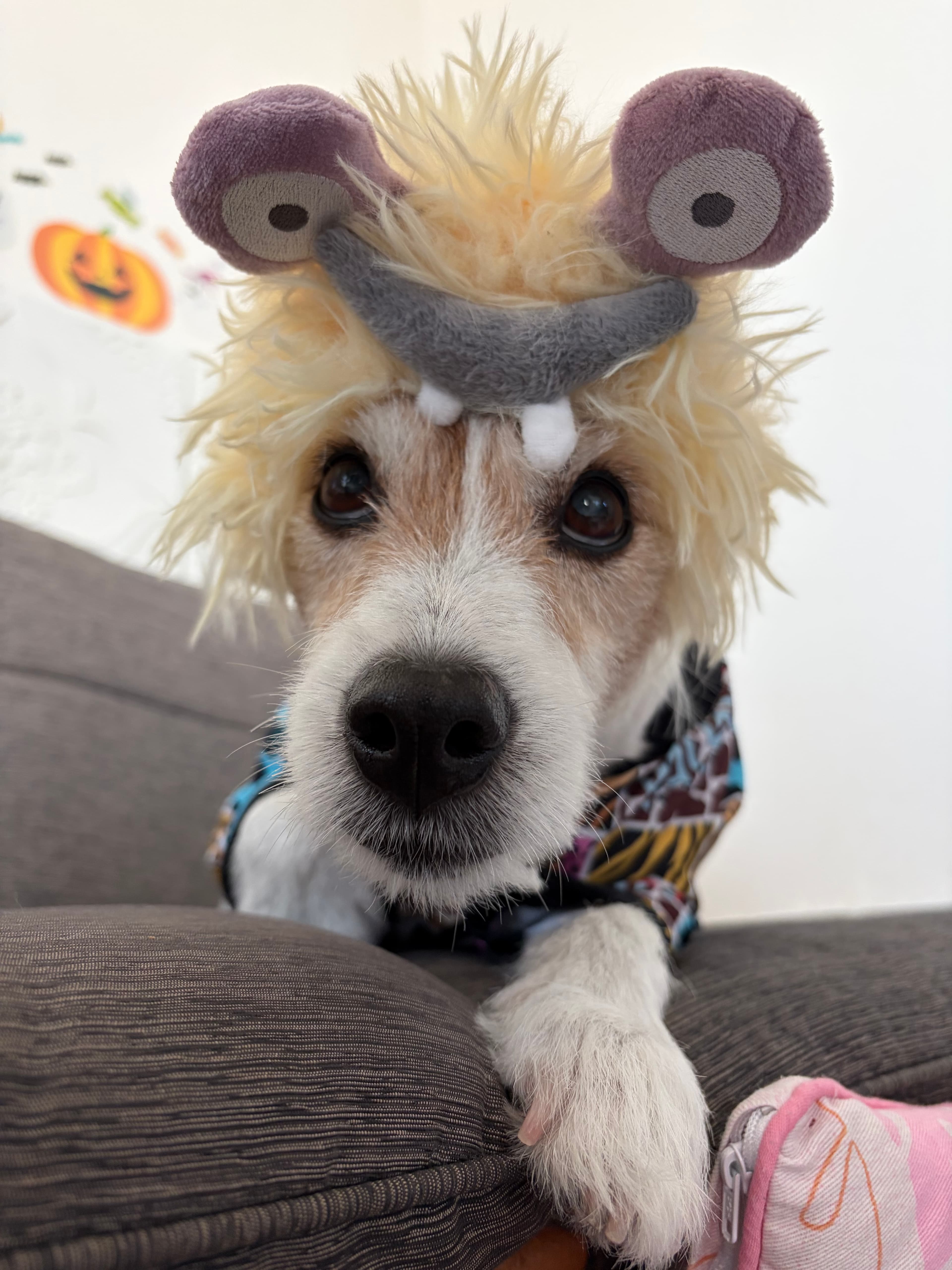 モンスターむぎ!