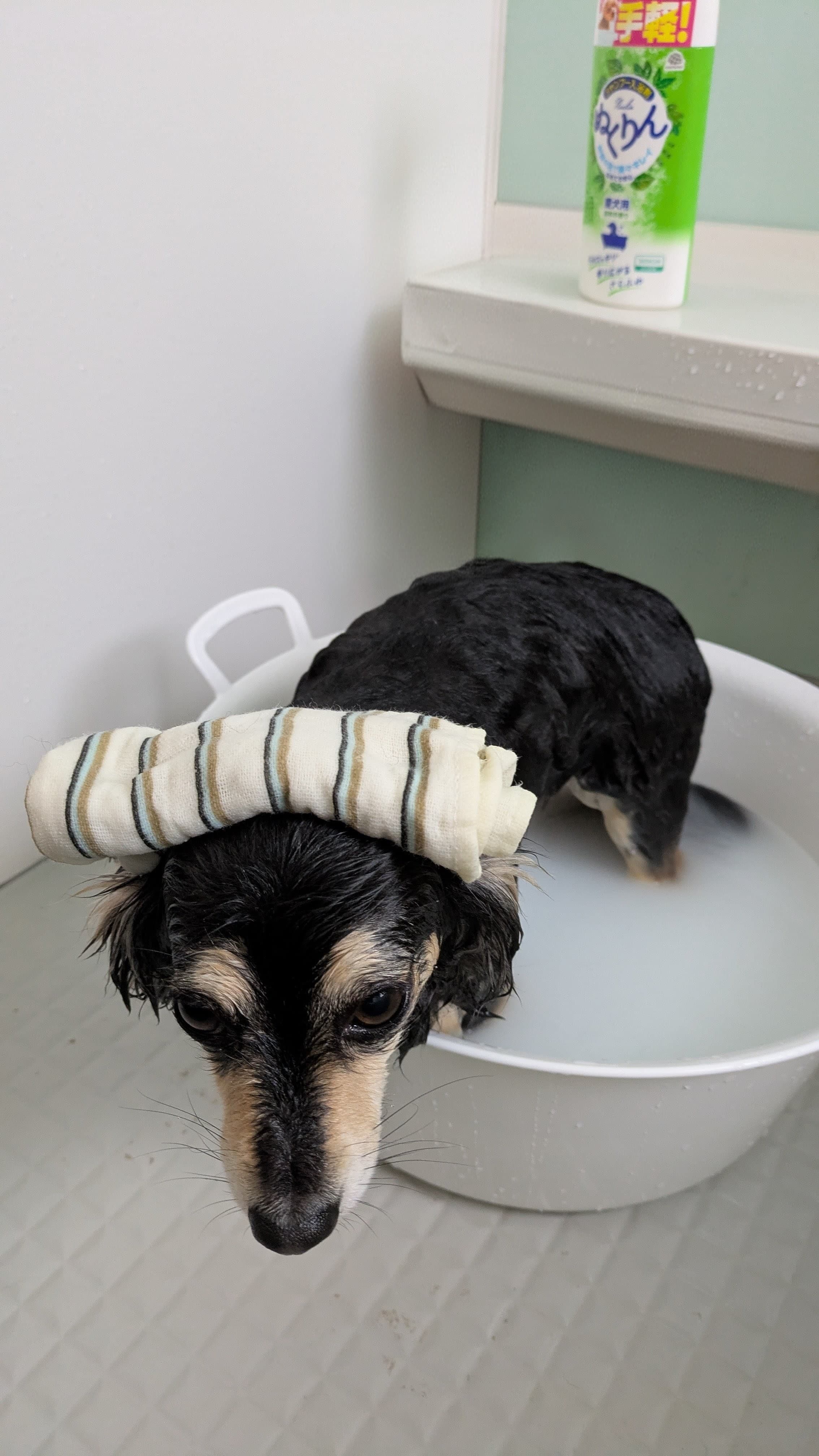 いい湯だな