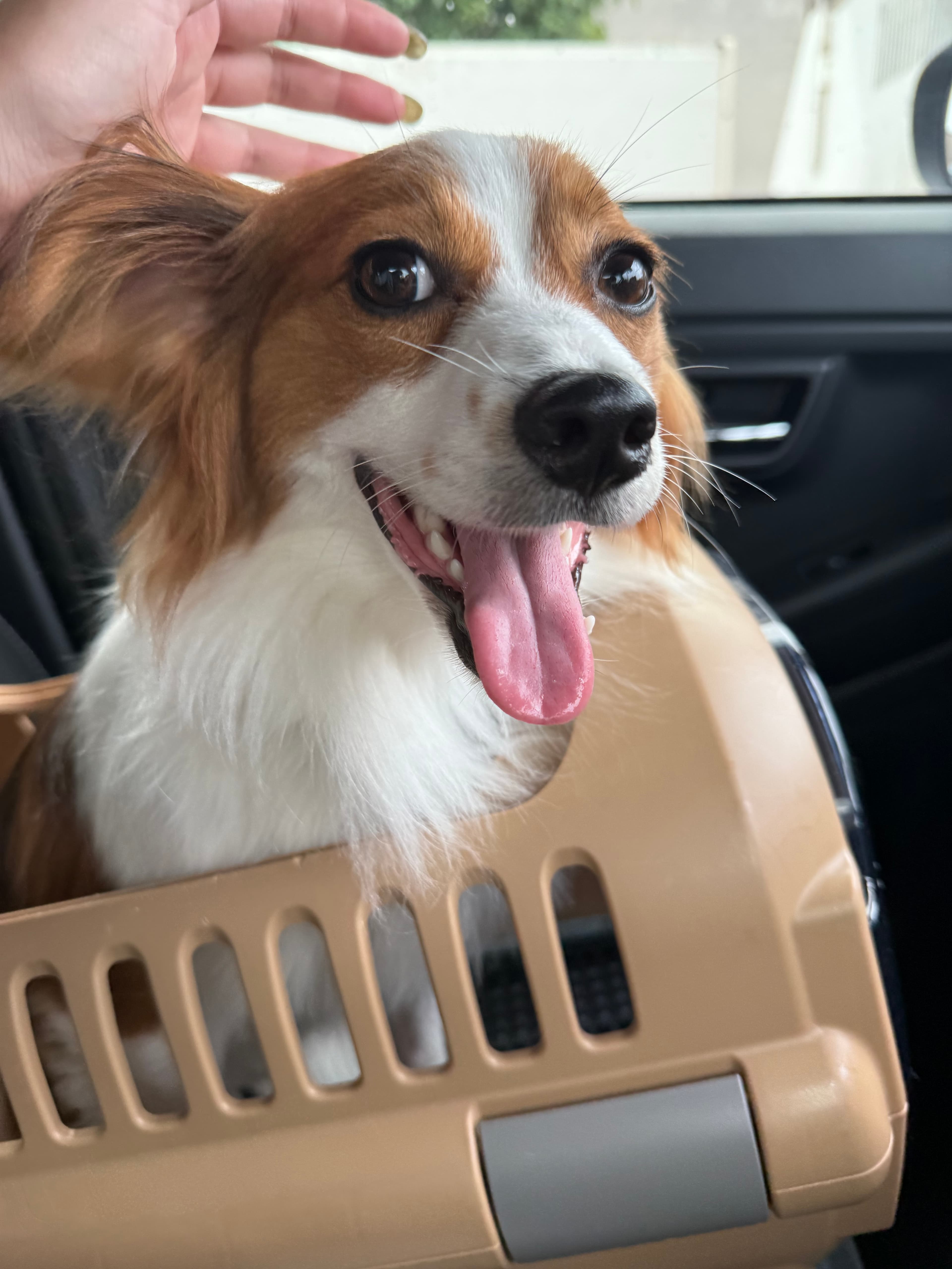 お出かけするよ〜🚗³₃