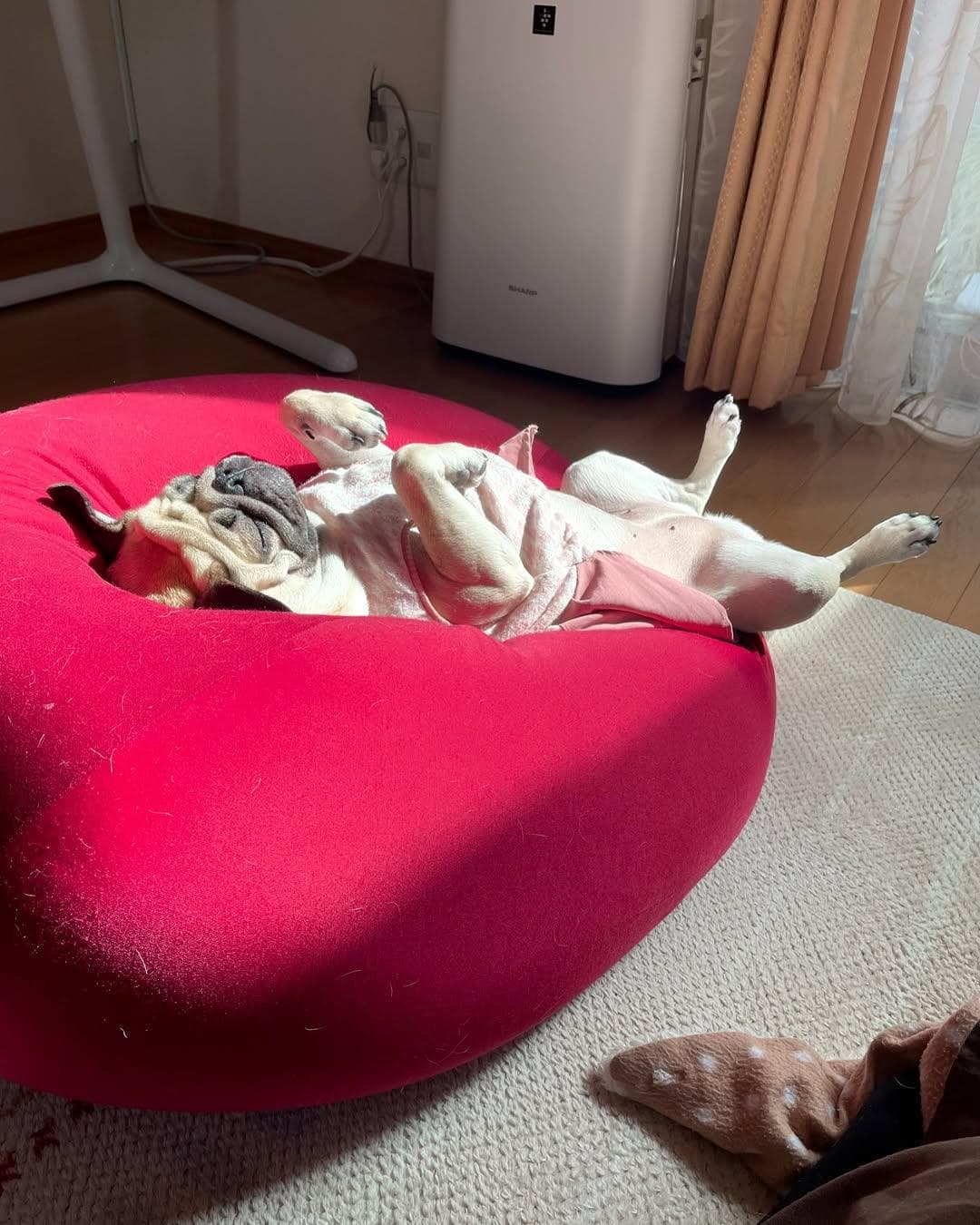 ぽかぽか