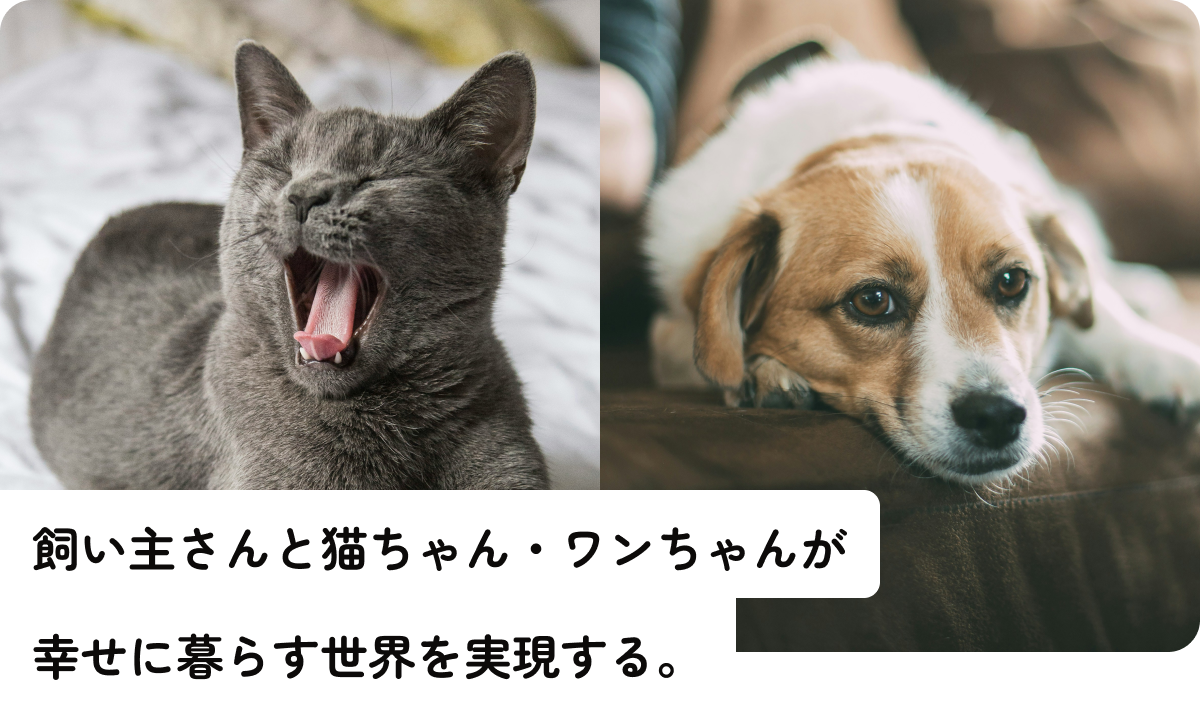 飼い主さんと猫ちゃん・ワンちゃんが幸せに暮らす世界を実現する。