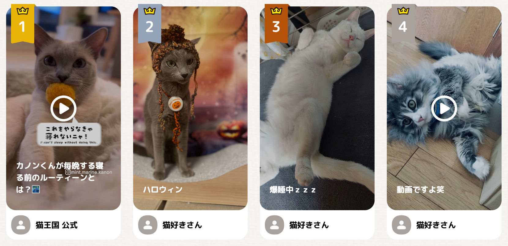 猫王国メディア